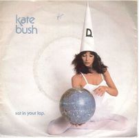 Kate Bush  --  Sat in your lap  Single7