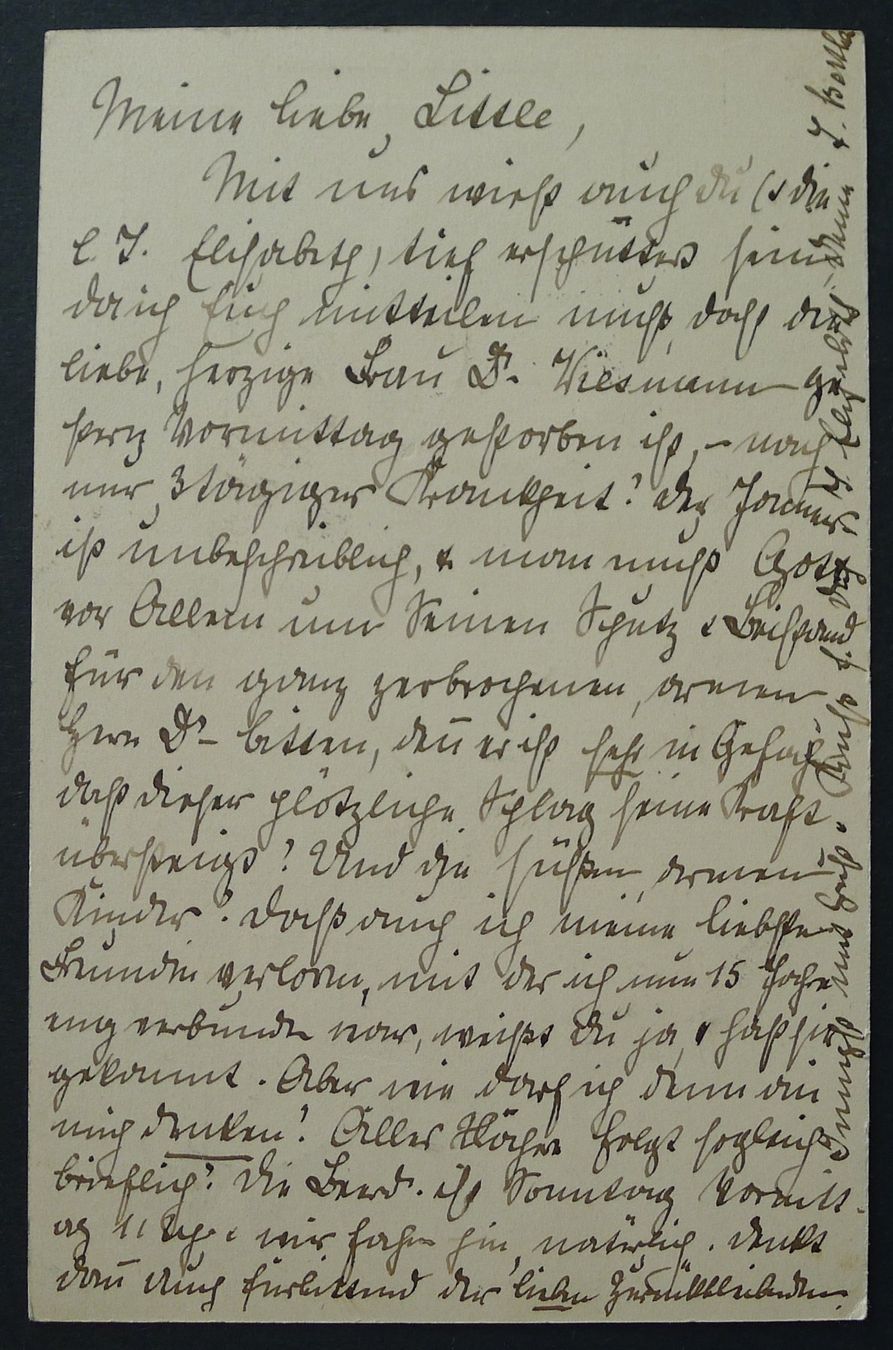 Tutti i francobolli: Bodensee SCHIFFSPOST auf UPU 1900 Ganzsache – Usato da Ebikon venduto da SilvioFreund 2
