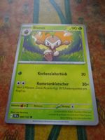 POKEMON  Blanas  H  TEF DE  004/162  KP90  2024