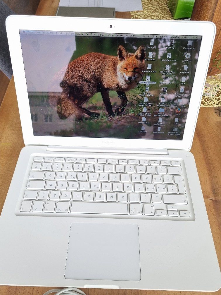 Apple Notebook: Apple Mac Book – Usato da Solothurn venduto da Cap222 2