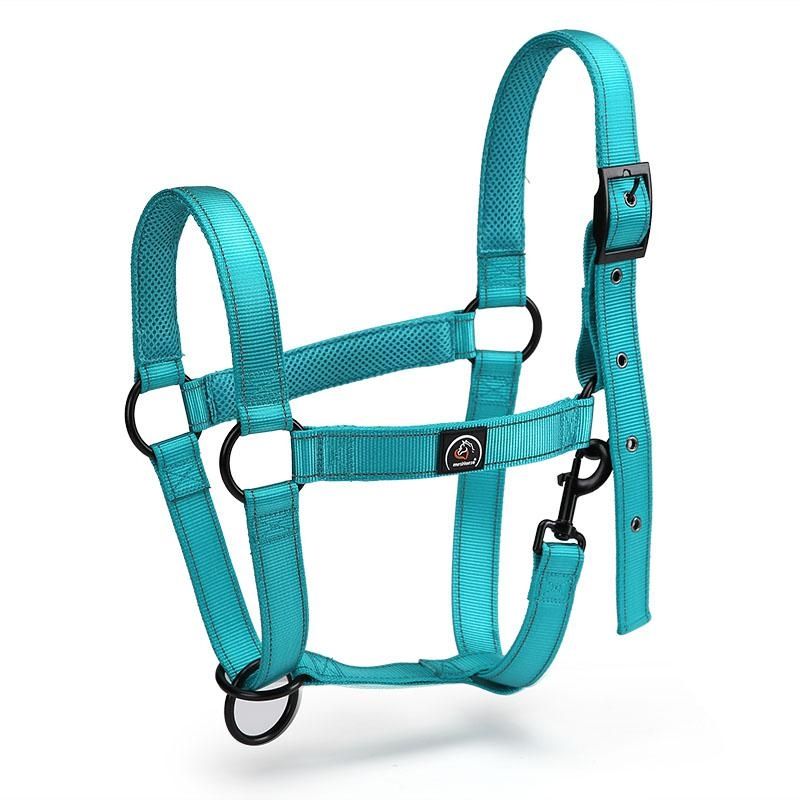 Briglie & Cavezze: Neue Reflektierende Halfter mint – Nuovo (secondo la descrizione) da Kerzers venduto da sb_12