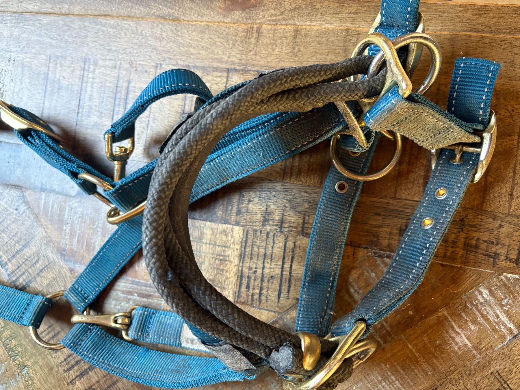 Briglie & Cavezze: Stübben Halfter, Easy Control,  Full – Usato da St. Margrethen SG venduto da leto82 3