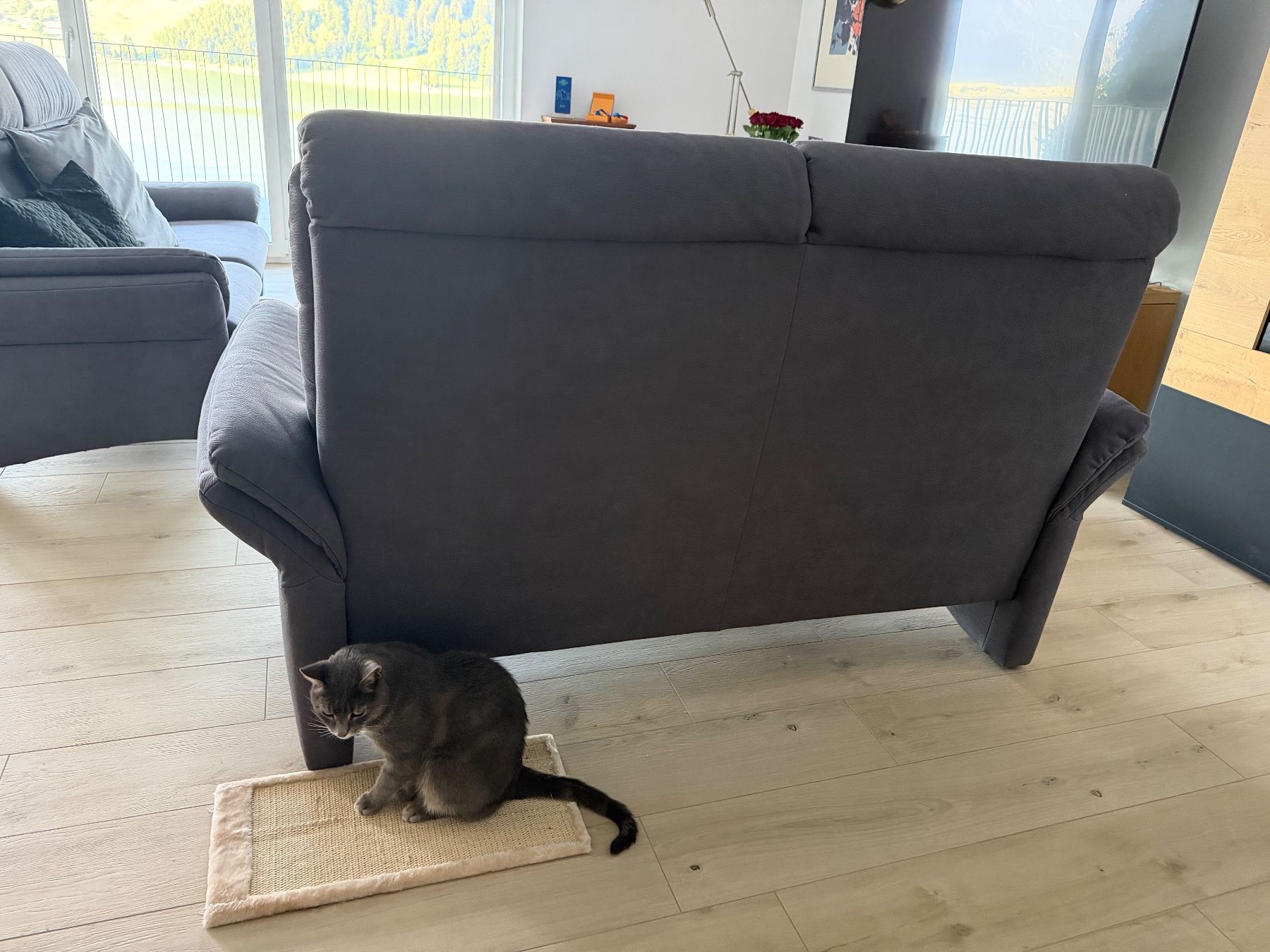 Sofas: Sofa Kombination 2er und 3er Sofa – D'occasion à Euthal par billiejean01 4