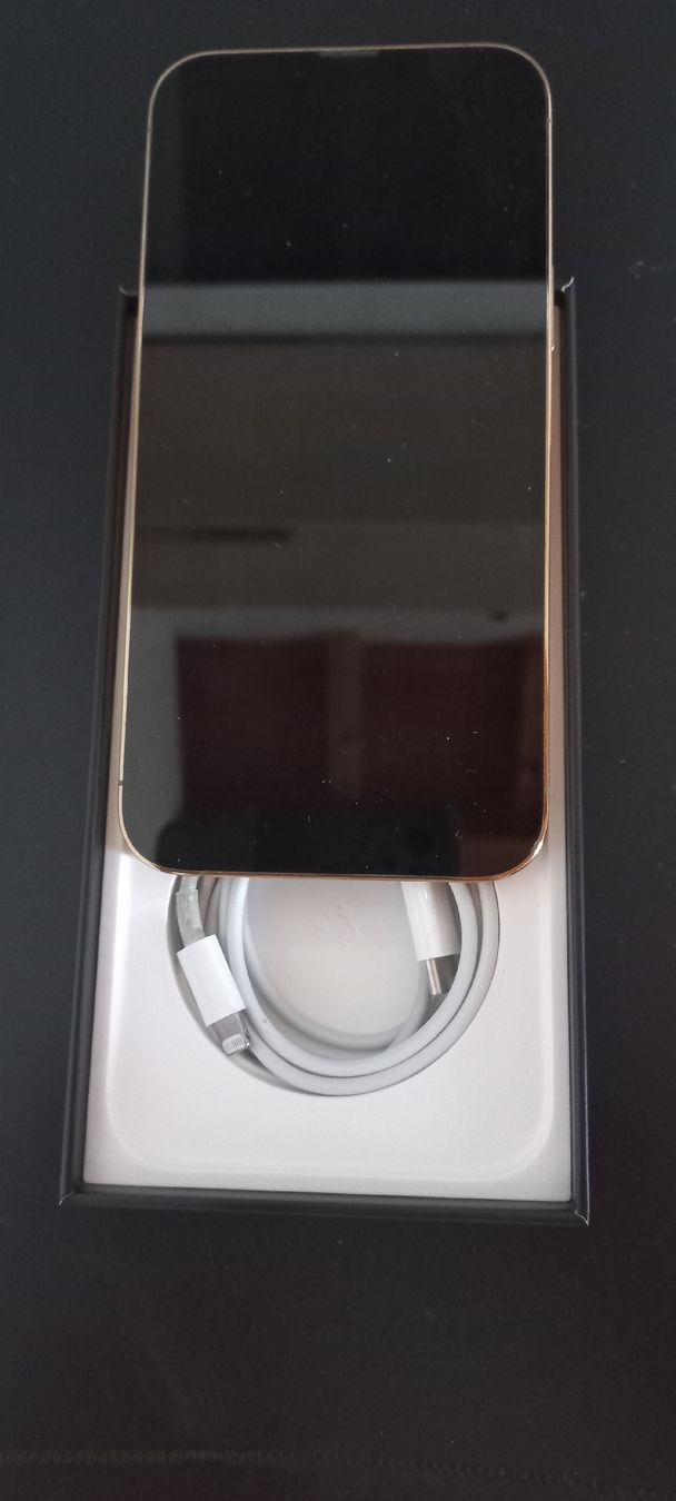 Apple Telefoni cellulari / Smartphones: iPhone13 ProMax 128GB – Usato da Safenwil venduto da Jvinternet 2