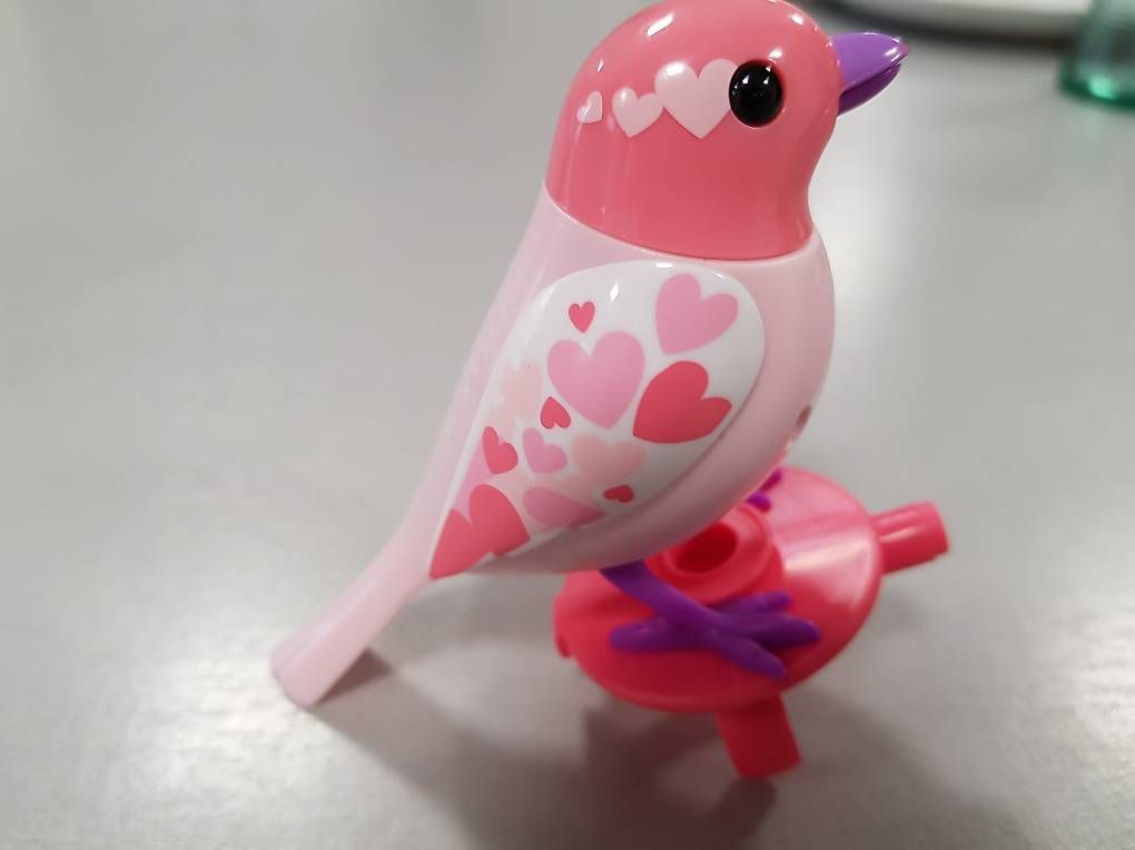 Spielzeuge: My little live pet Vögel – Gebraucht aus Brüttisellen von mfran 1