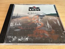 X-Large – Calamity Dog