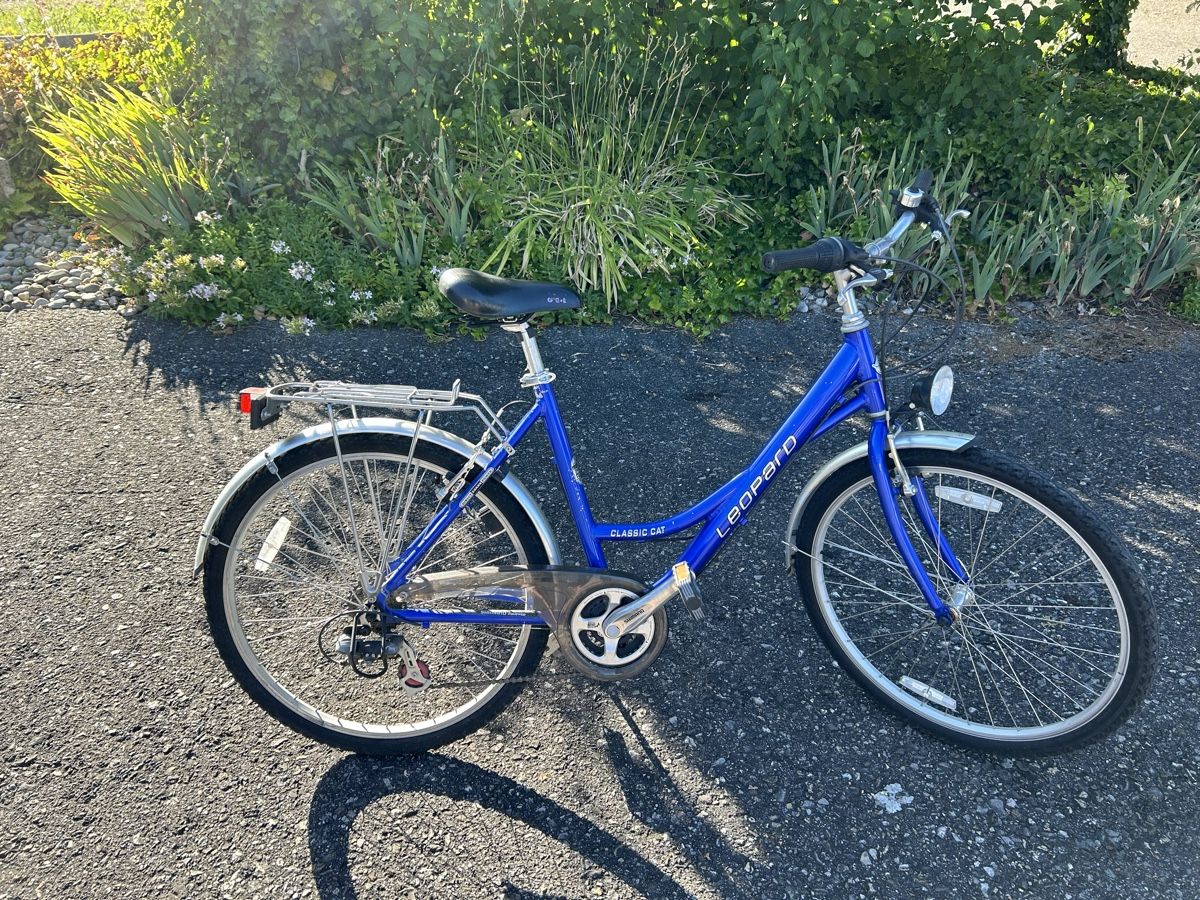 Biciclette: Damen Fahrrad – Usato da arch venduto da Amaga