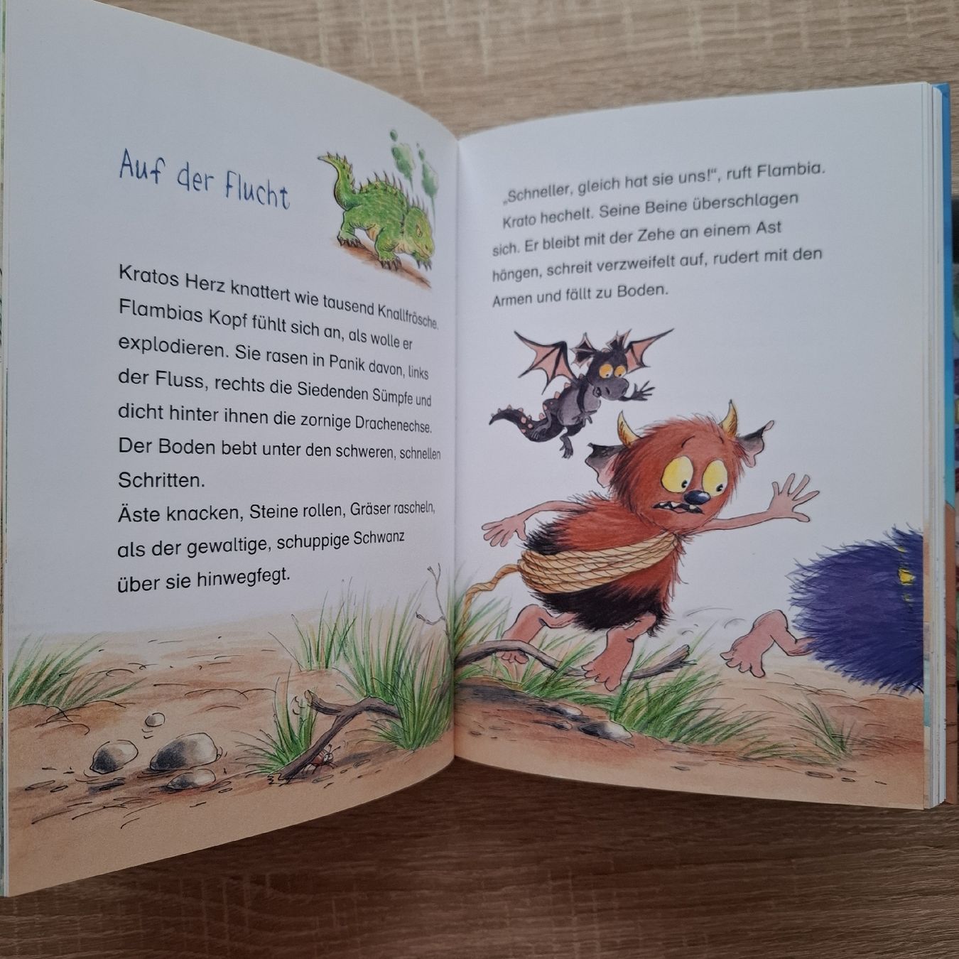 Libri: Die Vulkanos - Die feurigsten Abenteuer (Buch) – Usato da Hägglingen venduto da Pilipadin 6