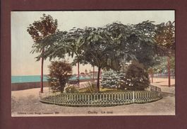 LAUSANNE - Quai d'Ouchy - 1908