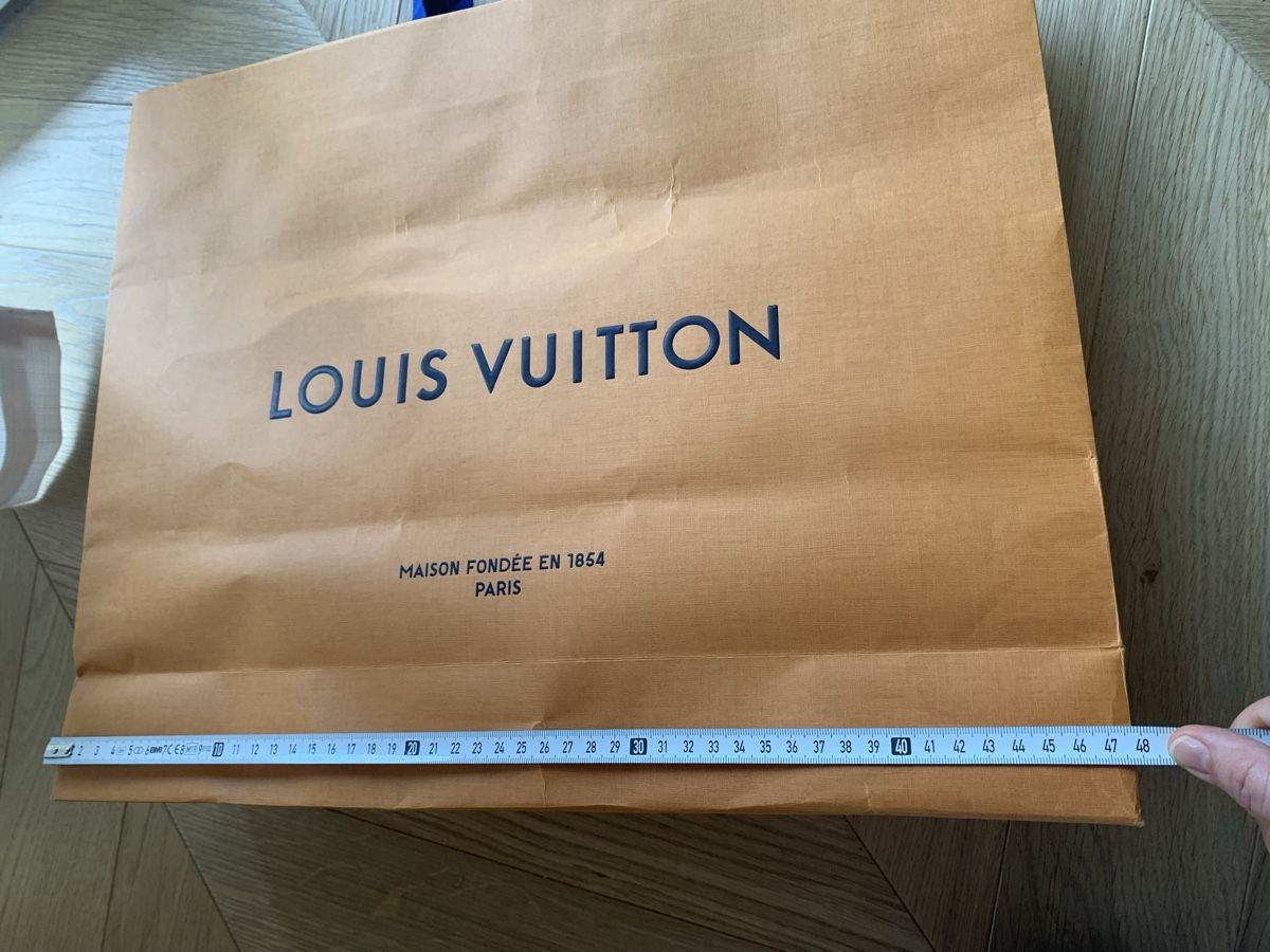 Louis Vuitton Borse: Louis Vuitton paper bag (medium size) – Usato da Zürich venduto da Angela_Fashion_Lover 4