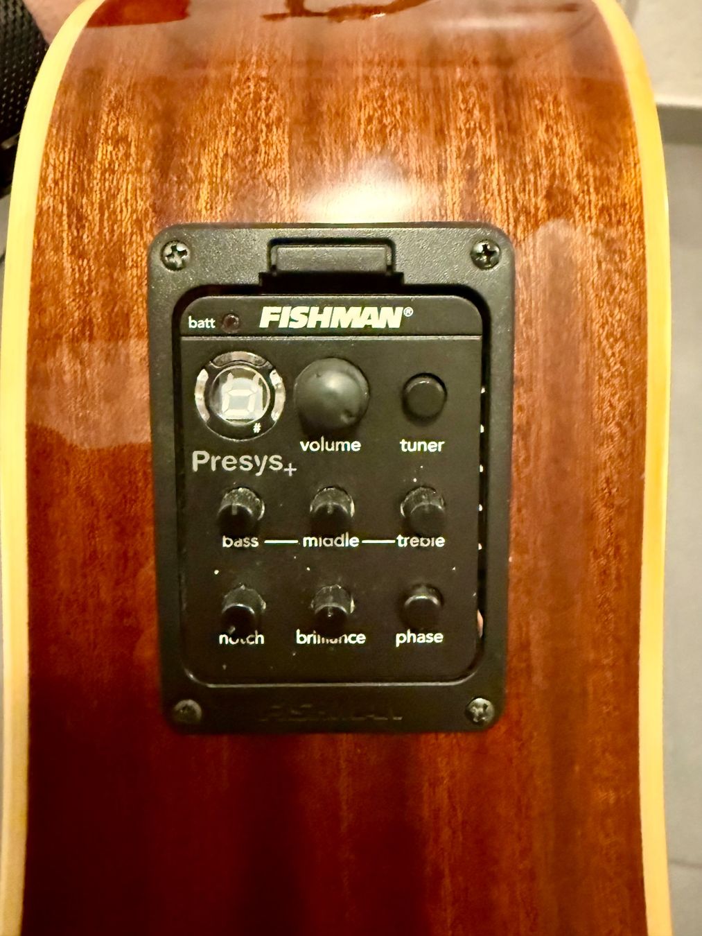 Strumenti musicali: Levinson LDC-25 - Dreadnought Cutaway – Usato da St-Séverin venduto da L_M_ 6