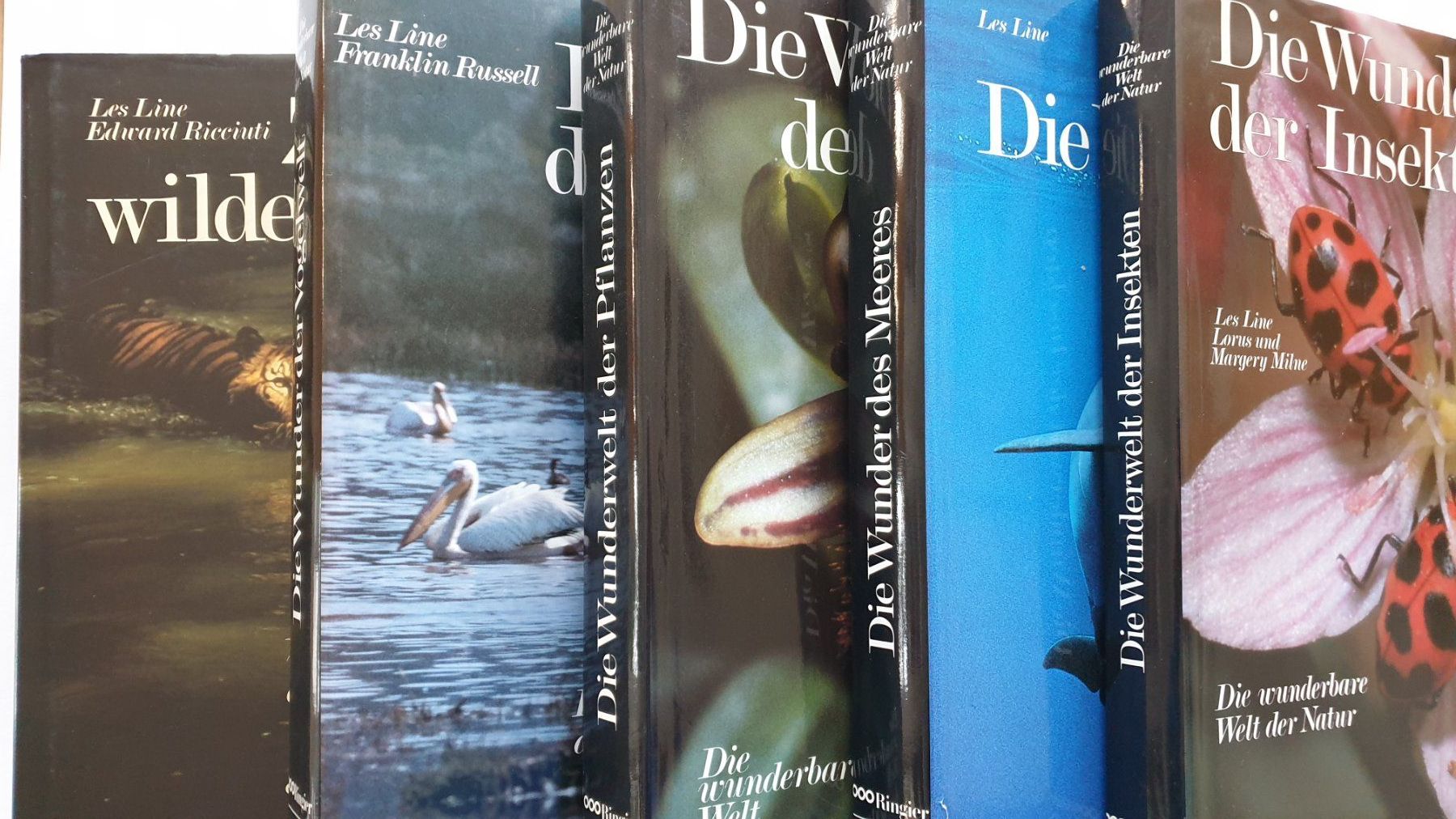Libri: Naurbücher von Ringier – Usato da Goldach venduto da armando_r