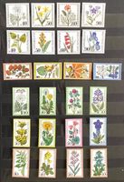 1975 - 81 / Deutschland - Berlin 6 ** Sätze Blumen - Natur