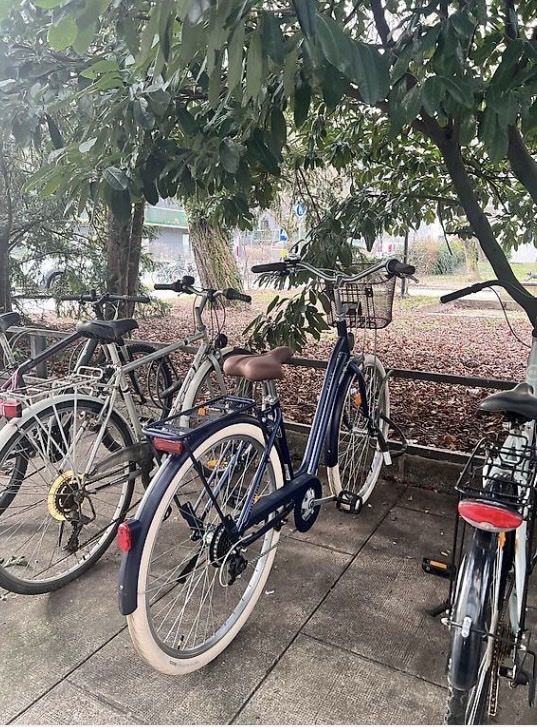 Vélos: Velo  – Neuf (Voir description) à Genève par ell_bjc9 2