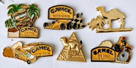 6  Camel Pins