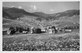 Oberiberg SZ // Frühling Blust Ybergeregg