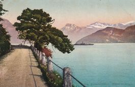 Vierwaldstättersee Strasse bei Weggis  1916