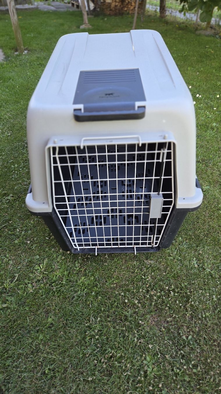 Ferplast Gabbie, trasporto & Sicurezza: Hunde Transportbox Ferplast Grösse 4 / L 91cm – Usato da Kesswil venduto da Penepoles