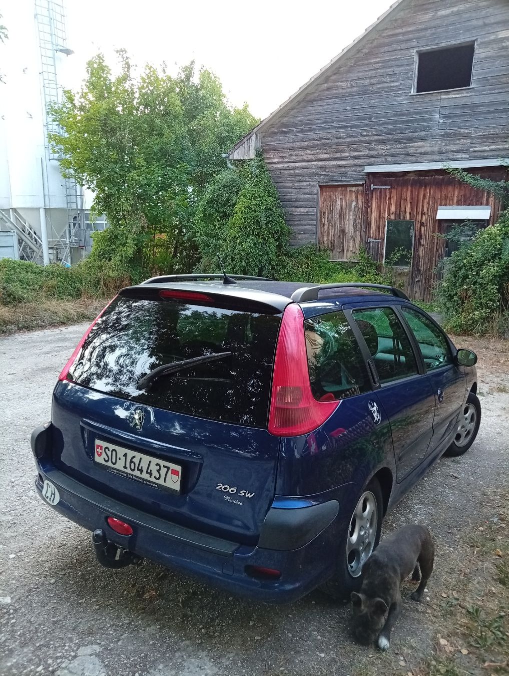 Peugeot Autos: Für Export oder Teile – Défectueux à Breitenbach par Stony81 3