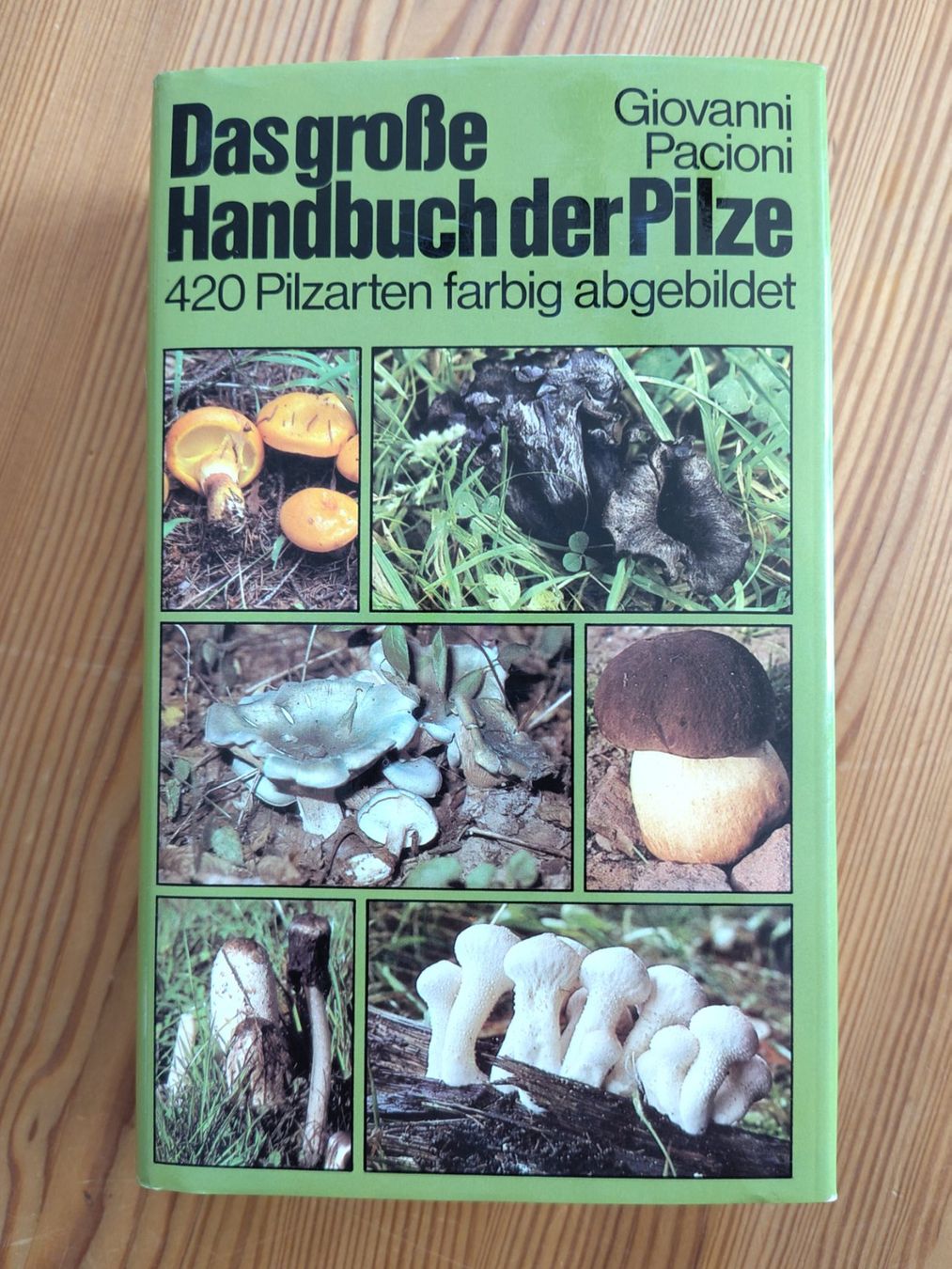 Bücher: Pilzführer "Das grosse Handbuch der Pilze" – Gebraucht aus Möhlin von MeisterHora 1
