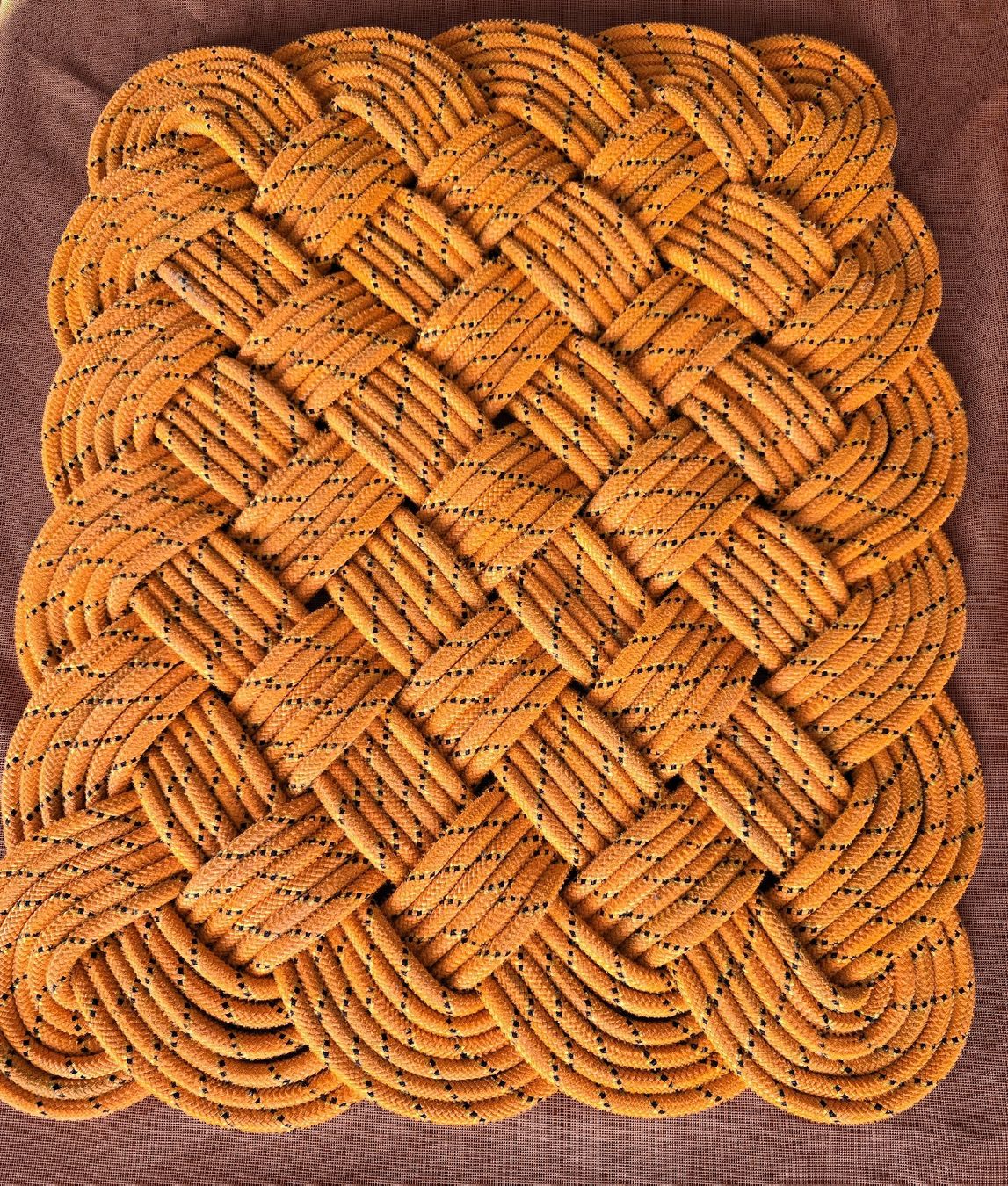 Petzl Corde: Rope mat Petzl – Usato da BERN venduto da froggyinternationale