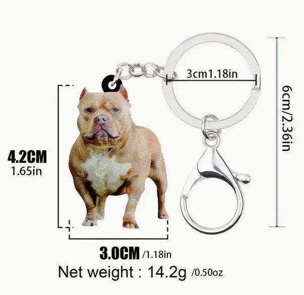 Portachiavi: SCHLÜSSELANHÄNGER AMERICAN BULLY NEU – Nuovo e nell'imballaggio originale da Bad Ragaz venduto da Schtupsi 1