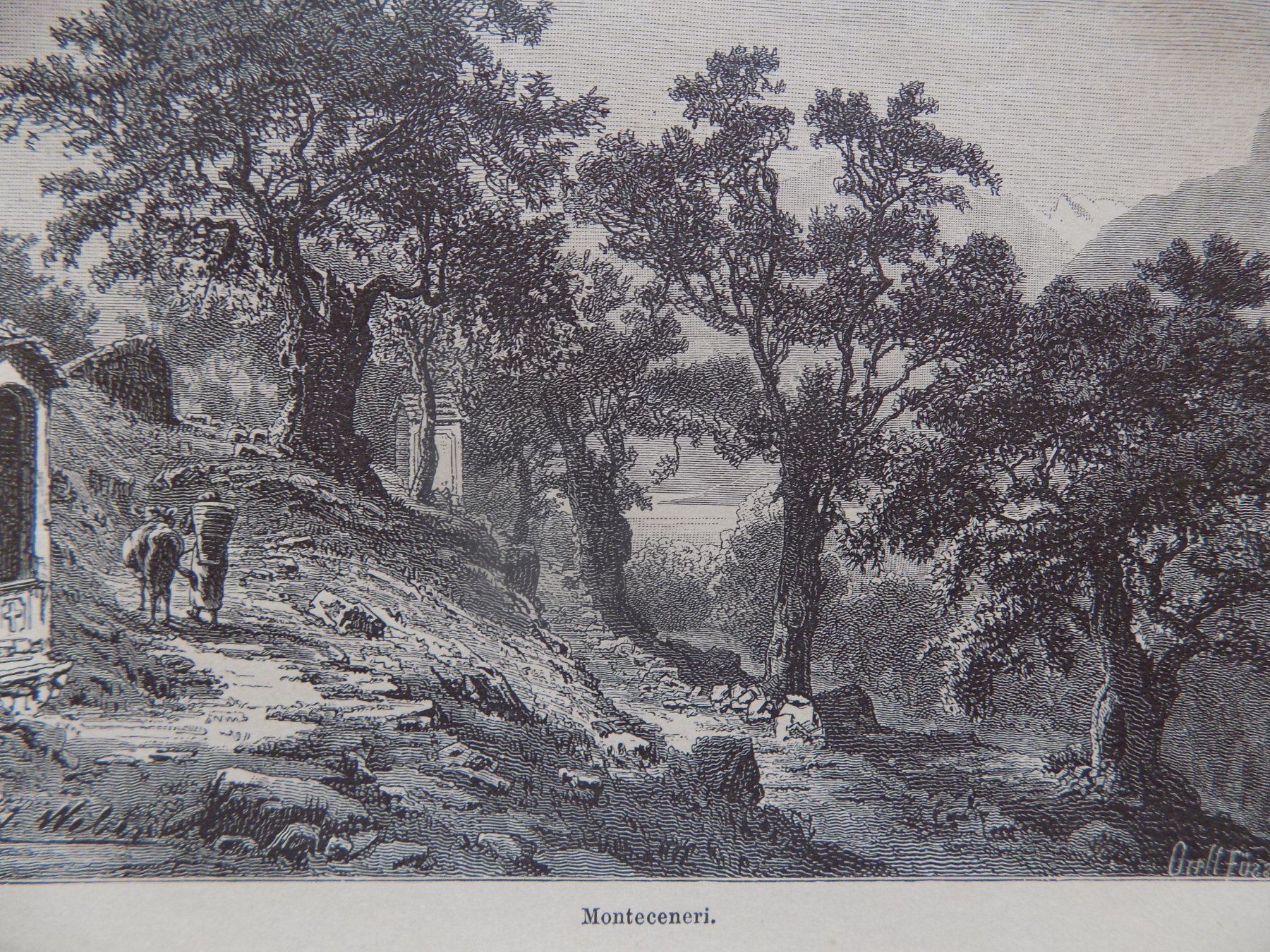 Gravures: Monte Ceneri Ticino – D'occasion à Risch par Antikfee 5