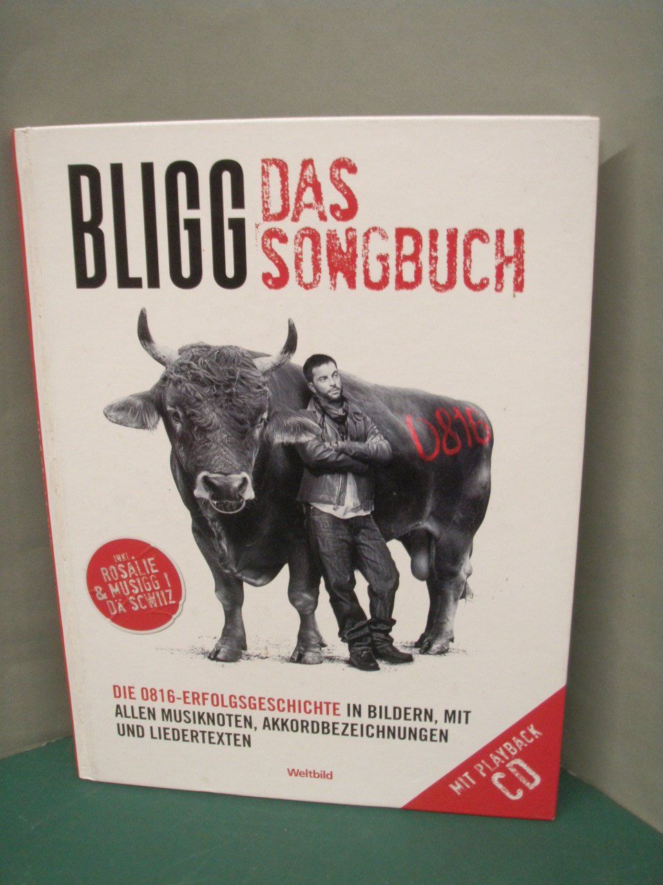 Libri: BLIGG das Songbuch inkl. CD – Usato da Rohrbach venduto da chri2009