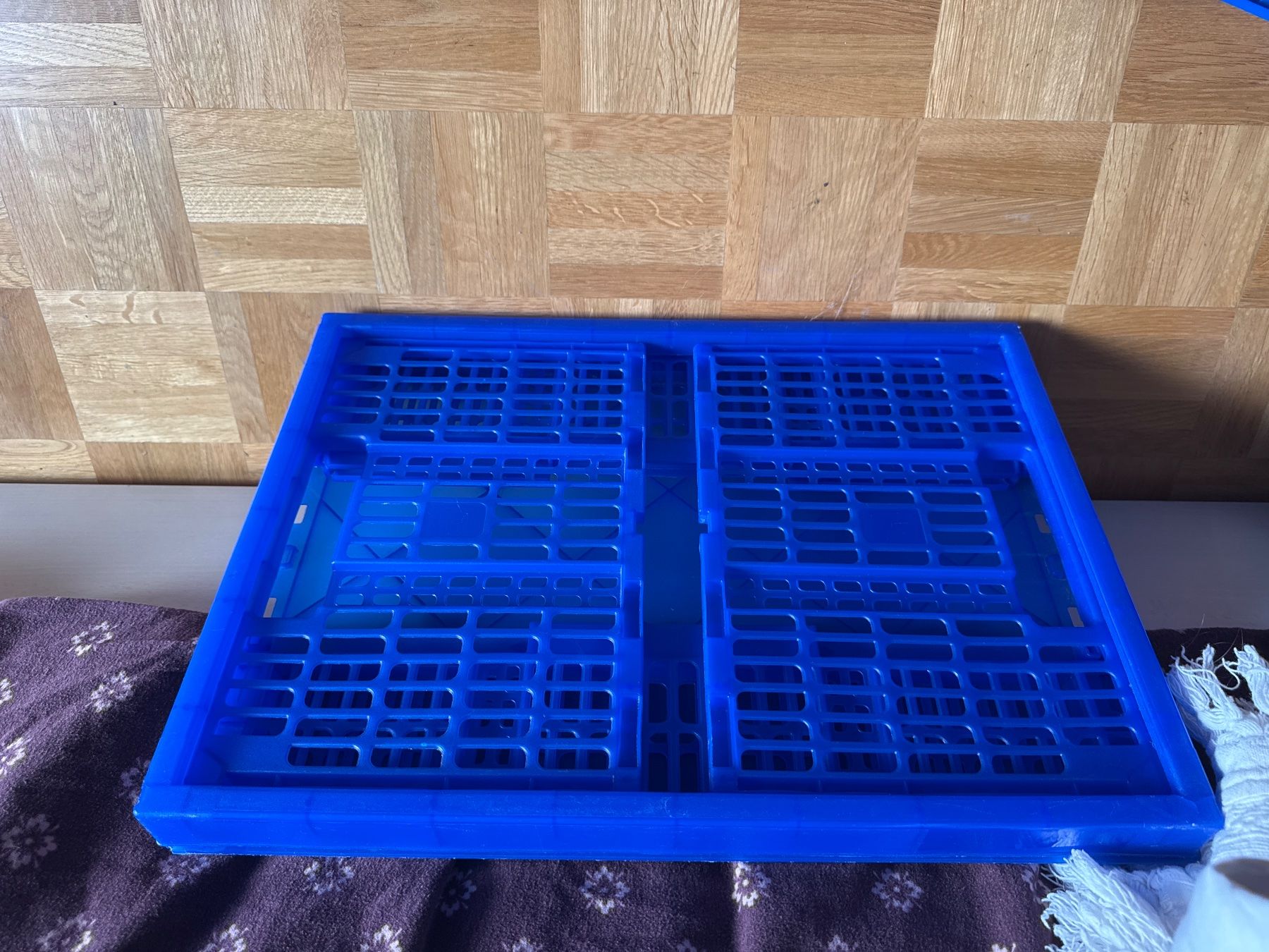 Velos: Blue folding crate – Gebraucht aus Thalwil von Maricortin 1