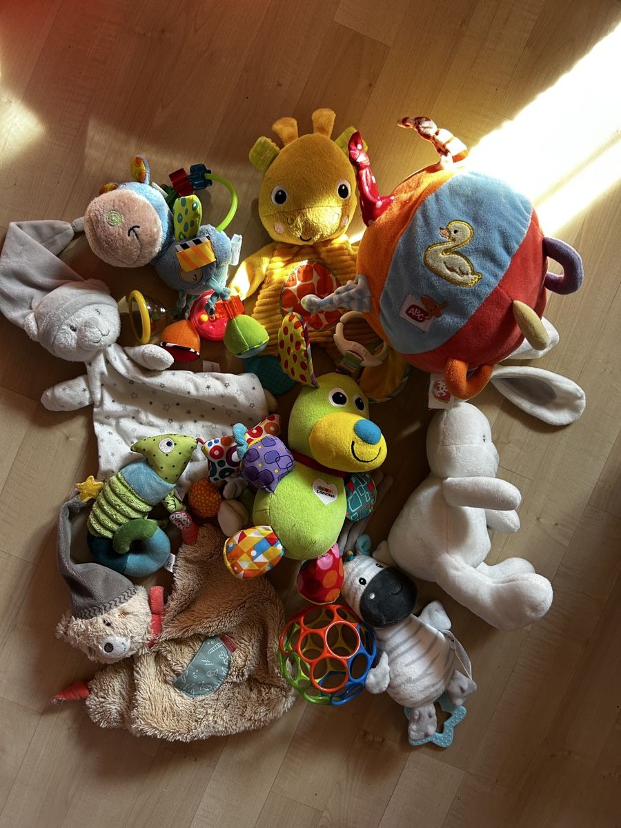 Giocattoli: Grosses Babyspielzeug Paket – Usato da Stettfurt venduto da Ewrozemil