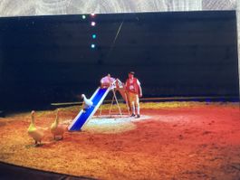 Circus Knie Foto 1998