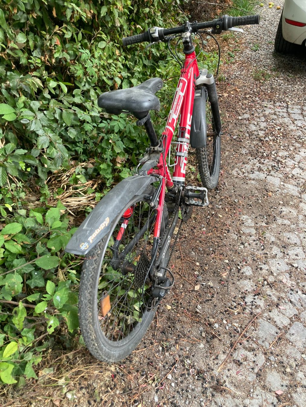 Focus Vélos: Kindervelo Focus – D'occasion à Kirchlindach par roland0101 1
