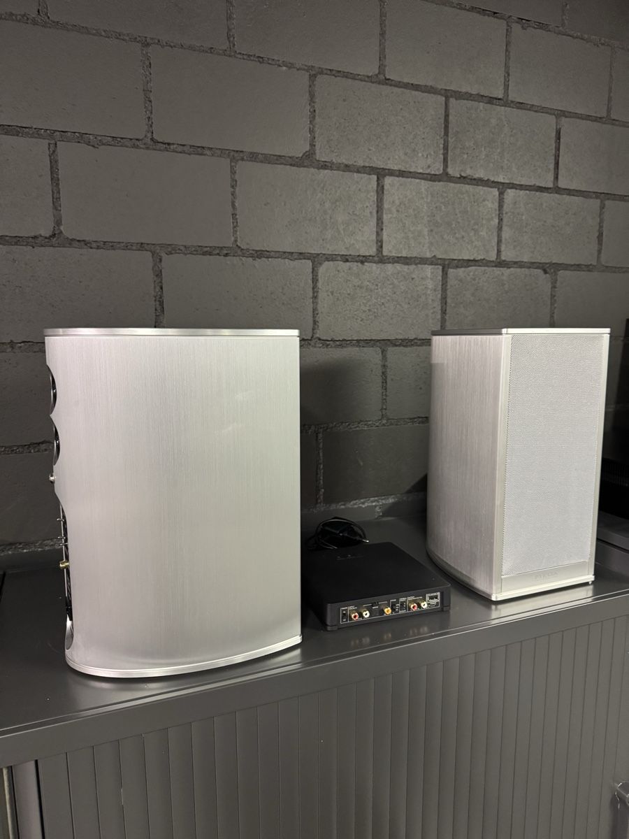 Piega Casse acustiche: Piega Premium 301 inkl.Piega CONNECT – Usato da Wetzikon ZH venduto da B-Os 4