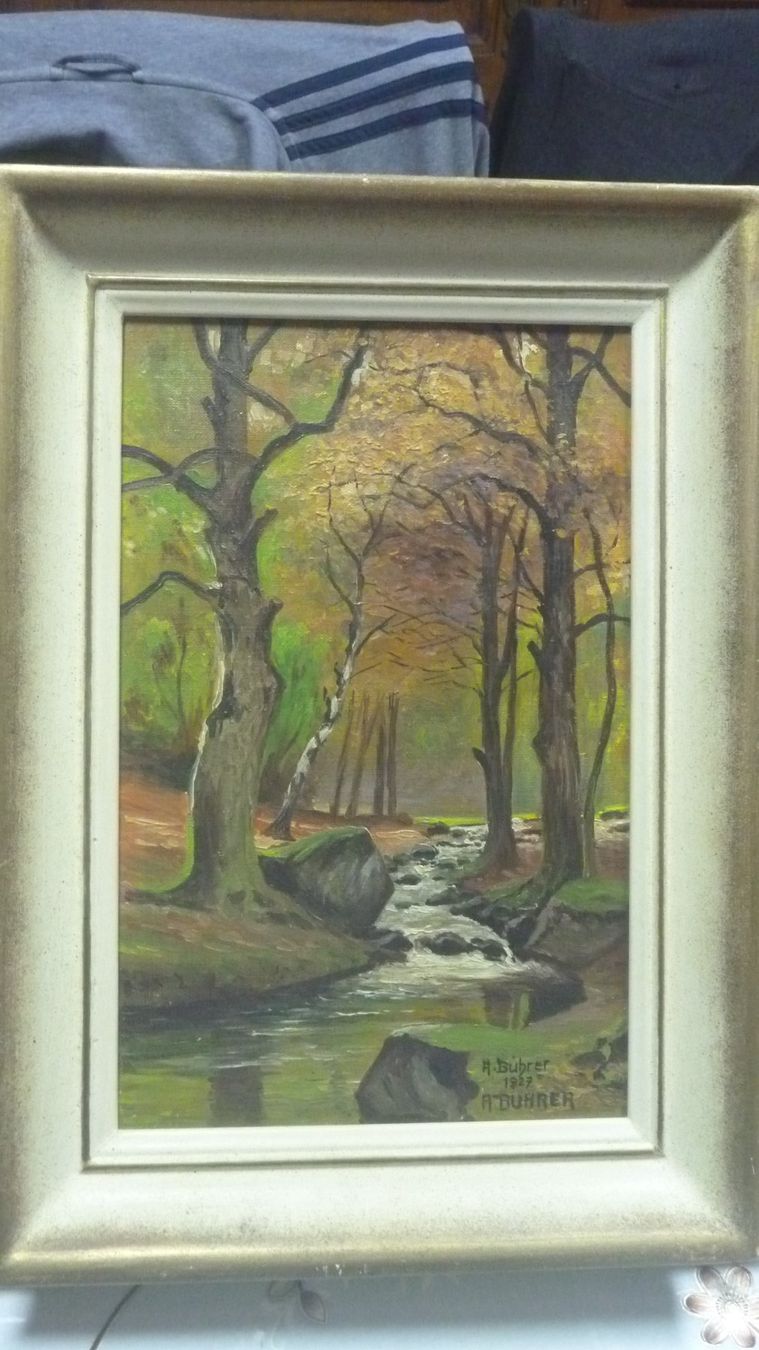 Dipinti: quadro a muro – Usato da domat/ems venduto da rokj