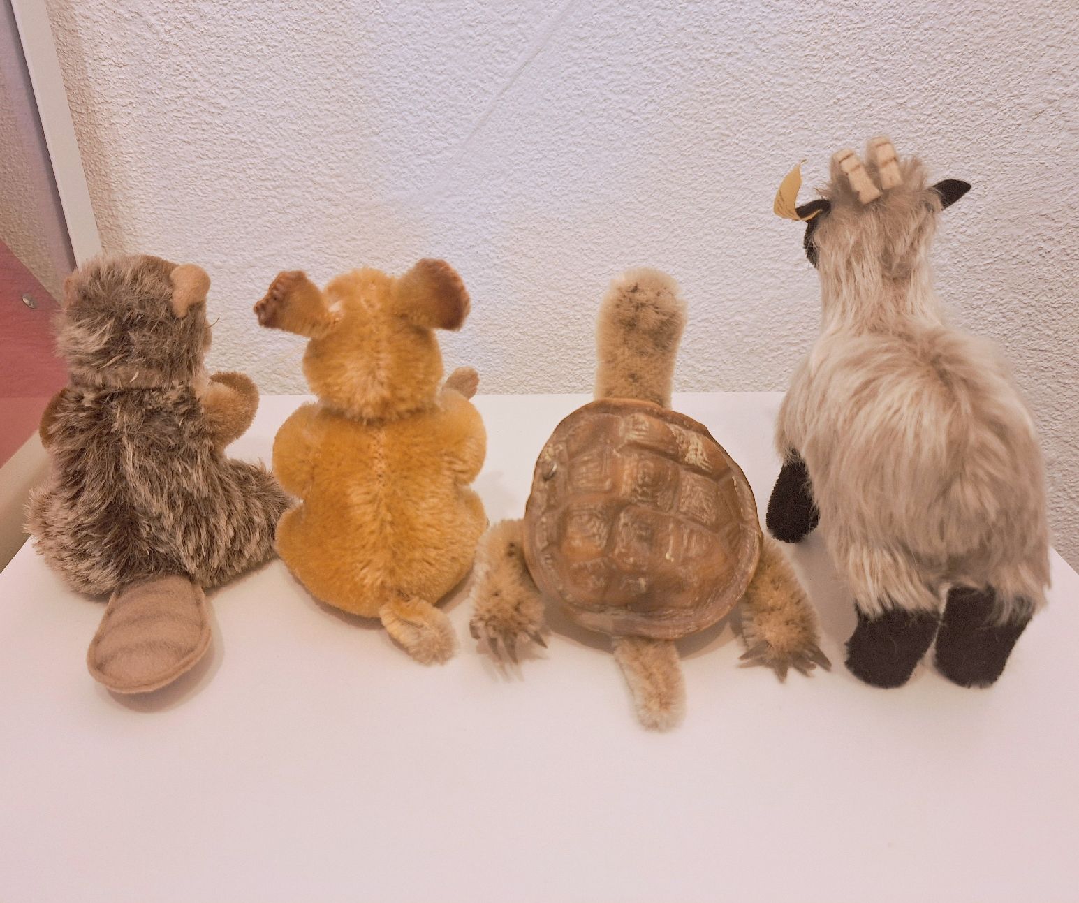 Steiff Spielzeuge: 4 Vintage Steiff: Beaver, Hamster, Turtle & Mountain Goat – Gebraucht aus Volketswil von LisaSch1 6