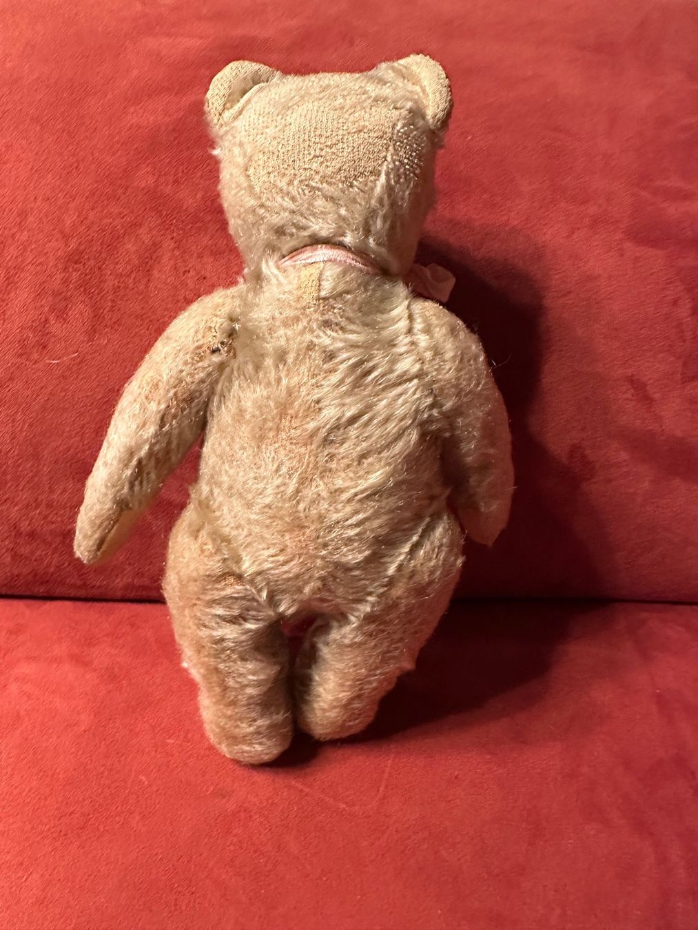 Steiff Giocattoli: Vintage Steiff Teddy – Usato da Herbriggen venduto da Sehrazade 3