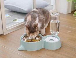 Katzen und Hundeteller