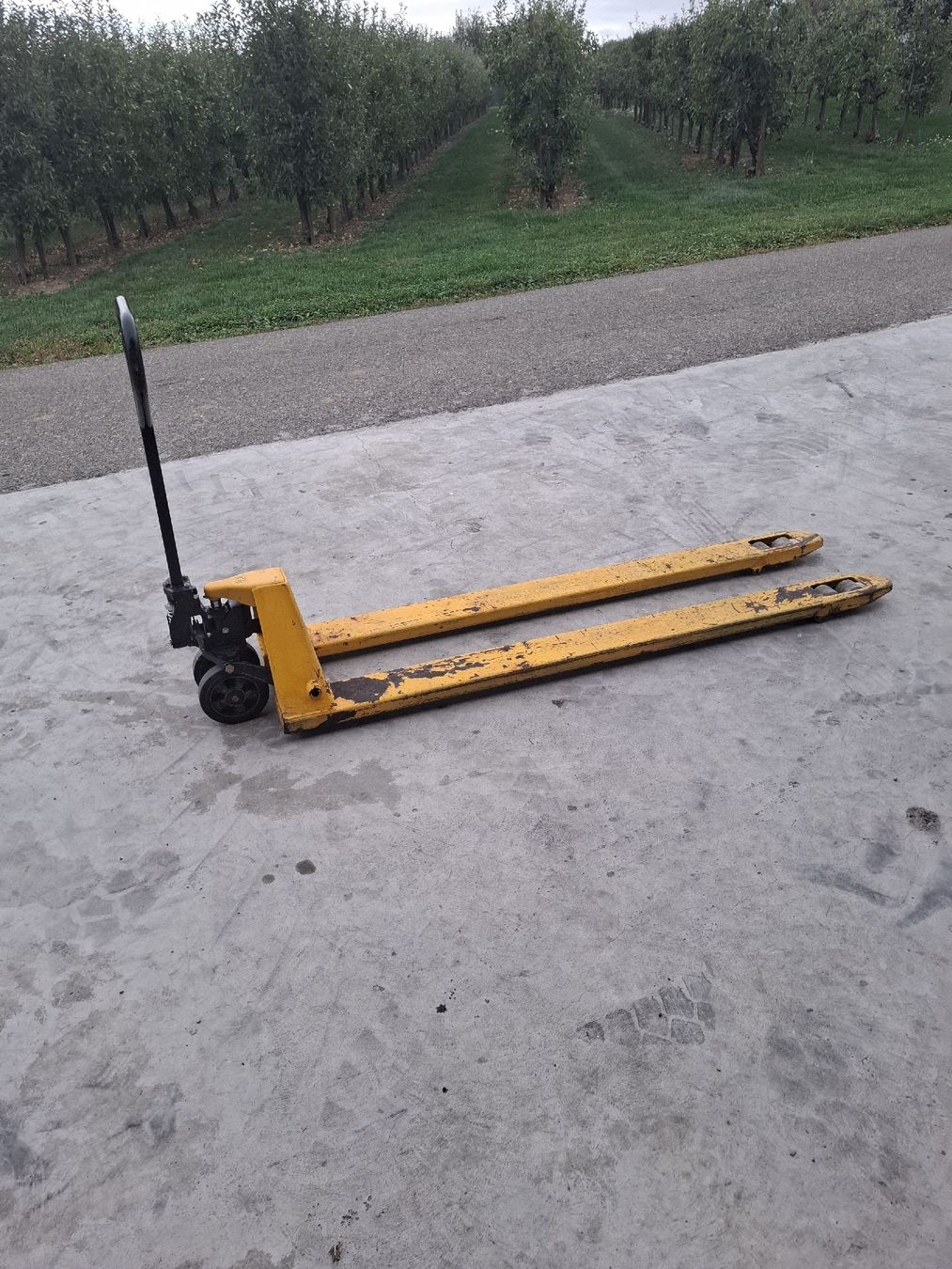 Carrelli elevatori e a forche: Handhubwagen – Usato da Niederneunforn venduto da dominic044