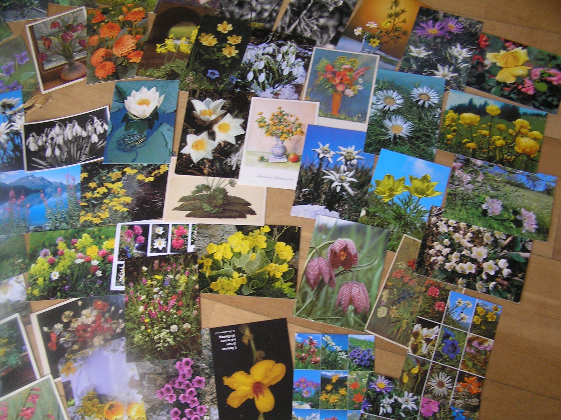 Cartoline postali: 200 Gruss - Blumenkarten – Usato da Lumbrein venduto da made02 7