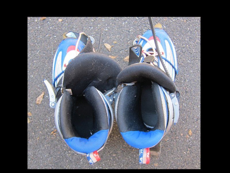 Fila Inline-Skating & Rollschuhe: Rollerblades FILA – Gebraucht aus Luzern von Regc 1
