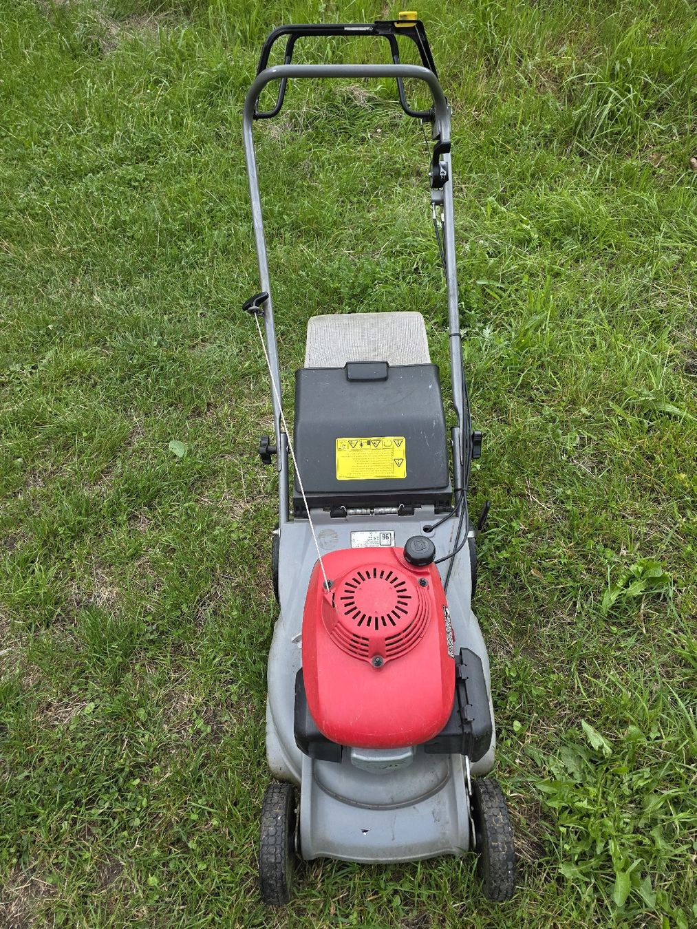 Honda Tagliaerba: Honda Rasenmäher  – Usato da Buchs SG venduto da MATGEOMAR 1