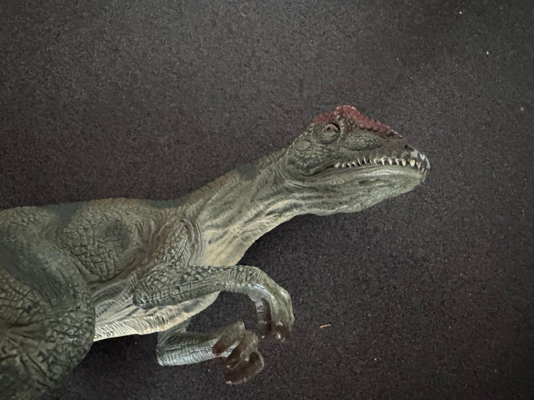 Schleich Statuette: Schleich ALLOSAURUS 2007 Dinosaurier – Usato da Fribourg venduto da tschjoly 5