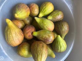 Frische Feigen aus dem eigenen Garten (500g)