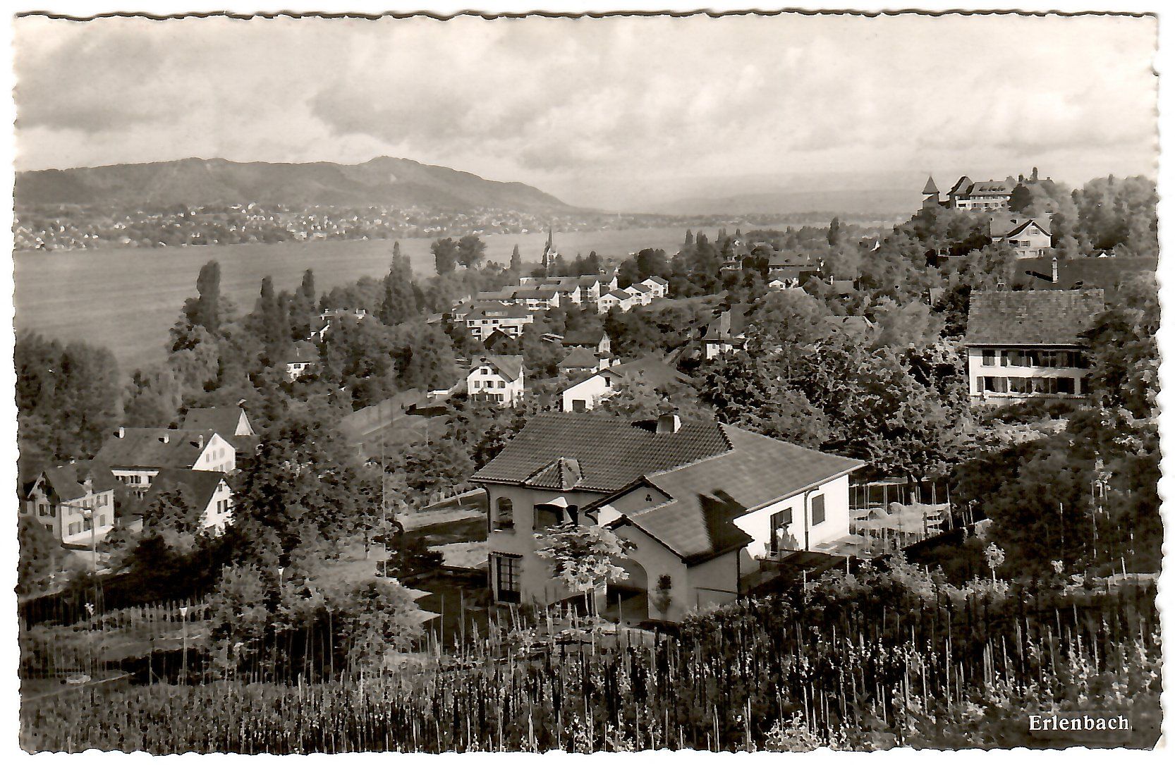 Cartoline postali: Ansichtskarte  Erlenbach  ZH – Usato da Kerns venduto da etma3