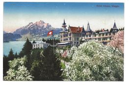Weggis (LU) Hotel Albana - Pilatus - 1923