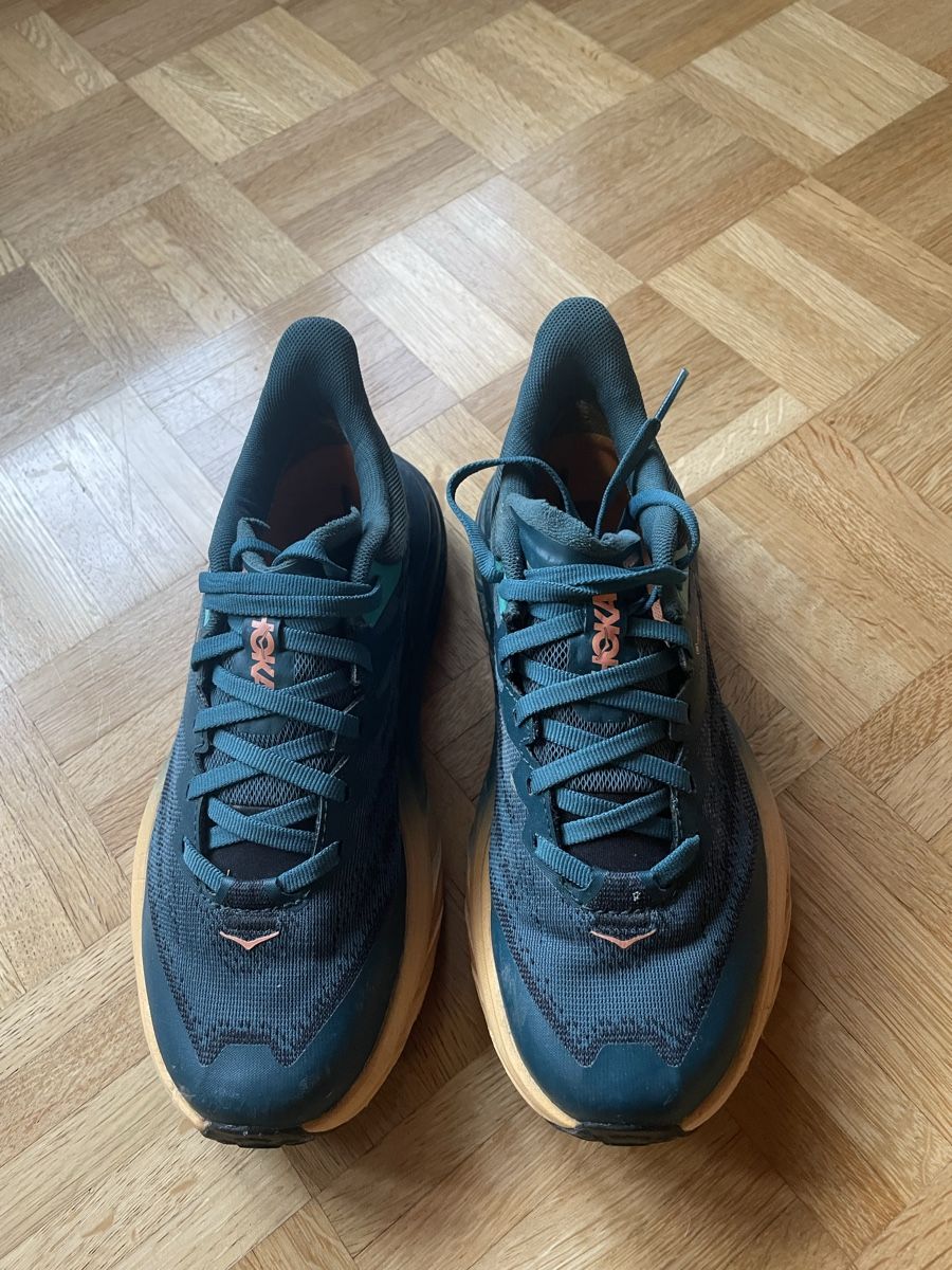 Scarpe da donna: Hoka Speedgoat 5 Goretex – Usato da Appenzell venduto da Schokoholic 1