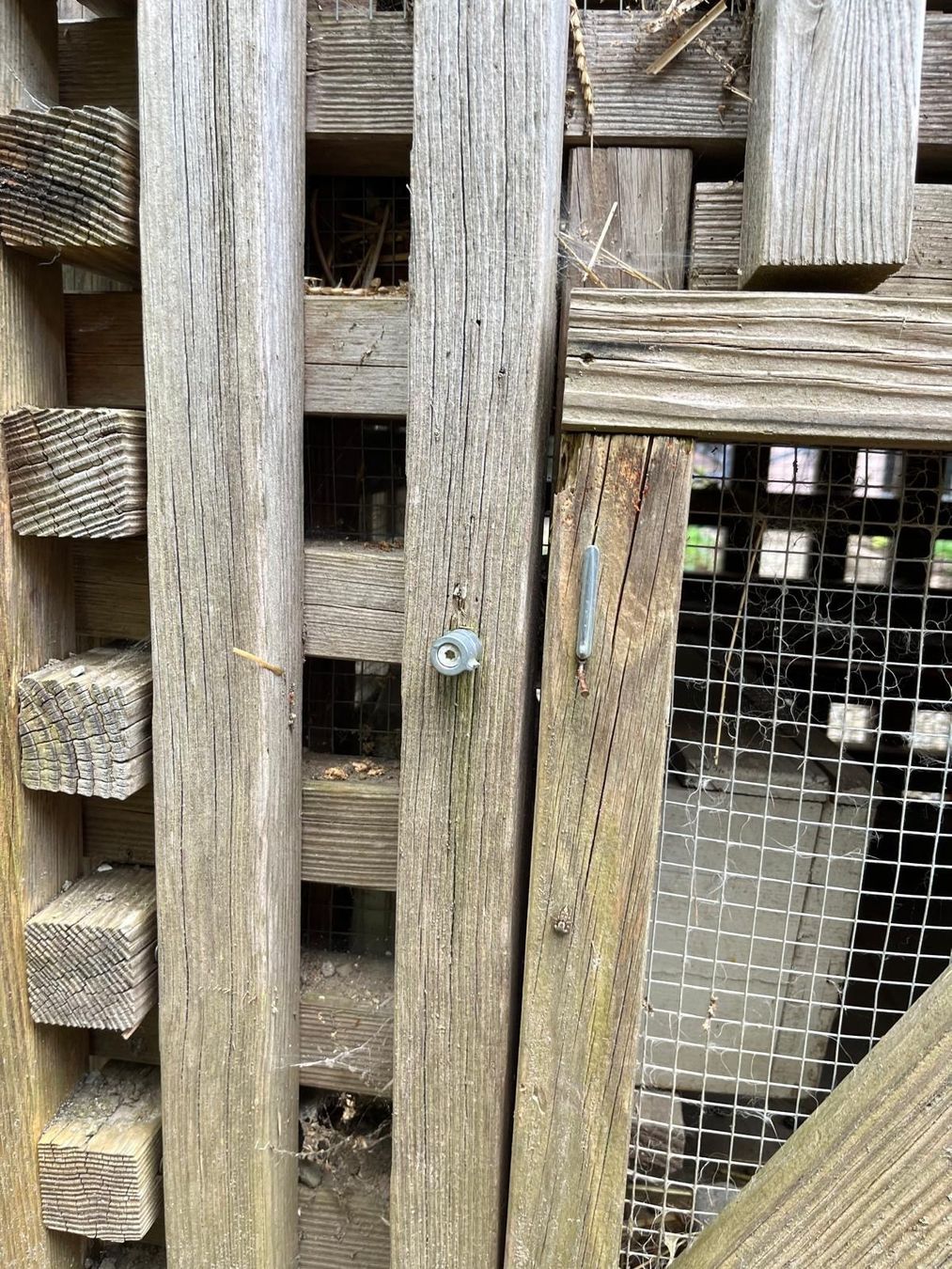Cages, transport & sécurité: Kleintierstall Eigenbau / Kaninchenstall Outdoor – D'occasion à Bern par IrisBern 3
