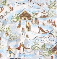 Serviette wintersport 25x25 (w334) 2Stk.