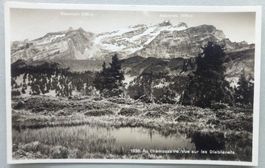 Au Chamossaire, Vue sur les Diablerets