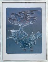 Hans Erni 3 Tauben Lithografie 12/150 gerahmt guter Zustand